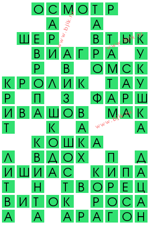 Одежда для ног сканворд 5 буквы Одежда для ног сканворд 5 буквы