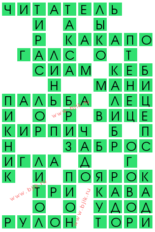 Маска омоновца 9 букв сканворд 270